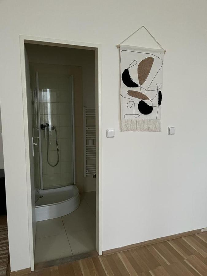 Roomy Apartment Close To Palmovka プラハ エクステリア 写真